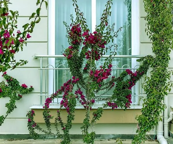 Aparthotel Diamonds Belek